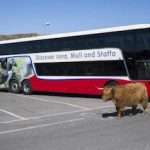 West Coast Tours (West Coast Motors)