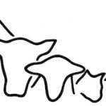 Rhona Campbell Veterinary Centre